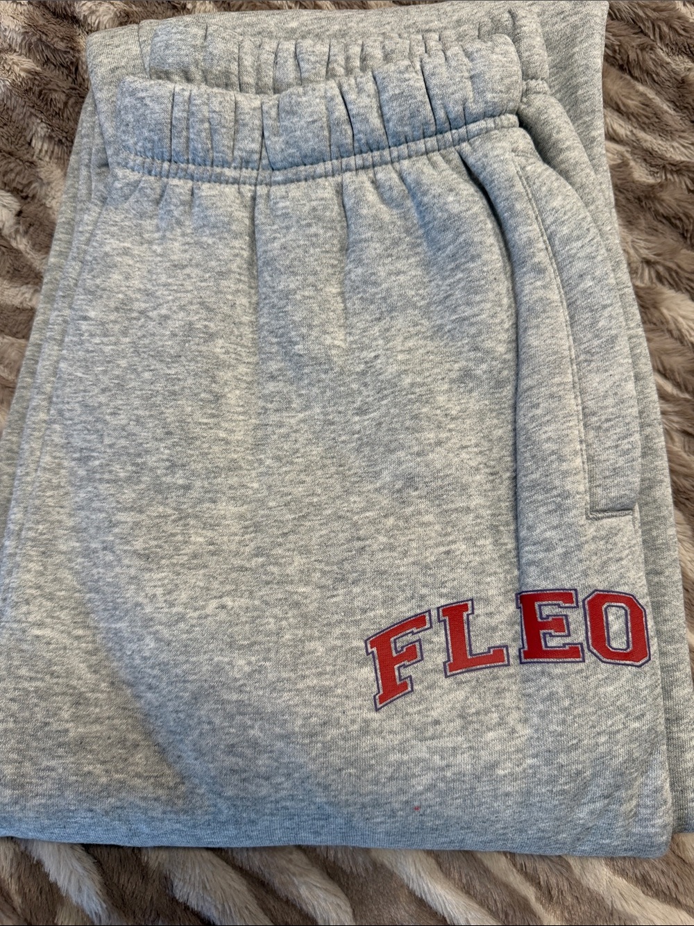 Fleo Kids Heather Gray Jogger Sweatpants with Red Logo
